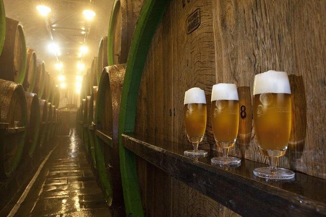 Pilsen Highlights Small-Group Tour and Pilsner Brewery Tour including Lunch and Beer Tasting - The Authentic Pilsen Experience: Pros and Cons
