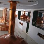 Pilsner Urquel brewery with tasting + sightseeing (from Prague) - Practical Details: What to Expect