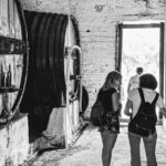 Pinhão Boat, lunch&wine tour - First Impressions: What to Expect from Your Douro Day