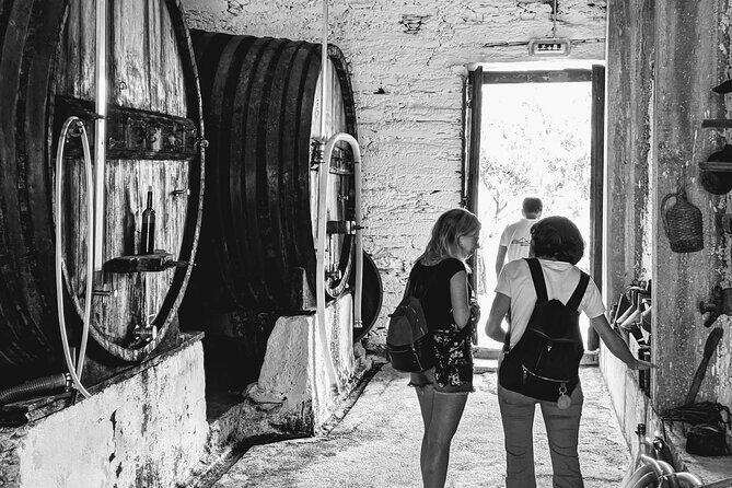 Pinhão Boat, lunch&wine tour - First Impressions: What to Expect from Your Douro Day