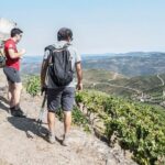 Pinhão Hiking Tour - The Experience in Detail: What You Can Expect