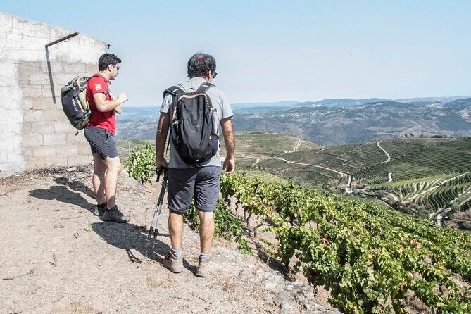 Pinhão Hiking Tour - The Experience in Detail: What You Can Expect