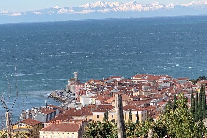 Piran & Panoramic Slovenian Coast Tour (up to 8 persons) - Who Should Consider This Tour?