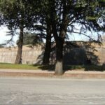 Pisa and Lucca Shore Excursion from Livorno Port - Practical Details and Value