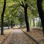 Pisa Full Day from La Spezia Port - Transportation and Comfort