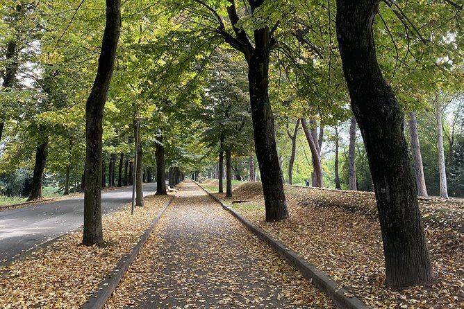 Pisa Full Day from La Spezia Port - Transportation and Comfort