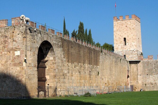 Pisa, Lucca and wine experience Private Shore Excursion from La Spezia port - Who is this tour best suited for?