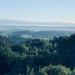 Pisa Tour and Wine Tasting on the Pisan Hills - Transportation and Logistics