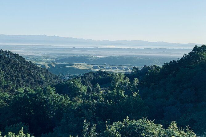 Pisa Tour and Wine Tasting on the Pisan Hills - Transportation and Logistics