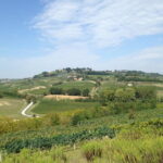 Pisa, Volterra and San Gimignano Private Tour from Florence - Who Will Enjoy This Tour?