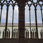 Pisa's Leaning Tower Climbing, Cathedral, Cemetery and Baptistery guided visit - Who is this tour best suited for?