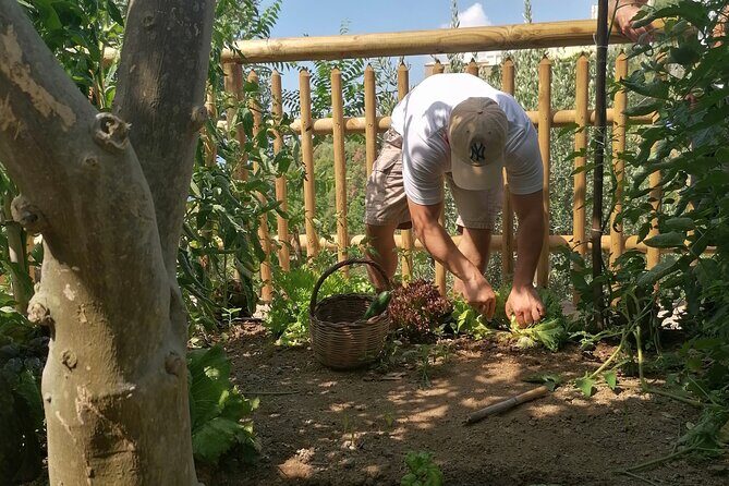 Pizza e Tiramisù class with local mum in Positano - Authenticity, Hospitality, and the Experience of a Lifetime