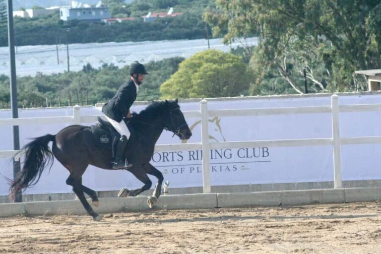 Plakias: Horse Riding Lesson - The Sum Up