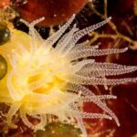 Plakias: Try Scuba Diving first time - Private, from 8 yrs. - What’s Included and What’s Not