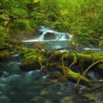 Plitvice Lakes Private Guided Walking Tour - Why Choose the Plitvice Lakes Private Guided Tour?