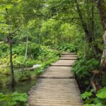Plitvice Lakes & Rastoke village private tour from Zagreb - The Value for Money