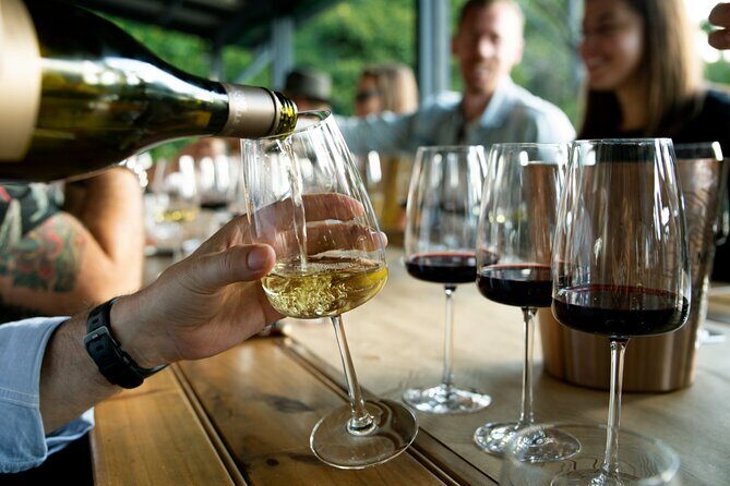 Polish Wine Tasting - not only polish vodka is awesome - The Experience in Detail