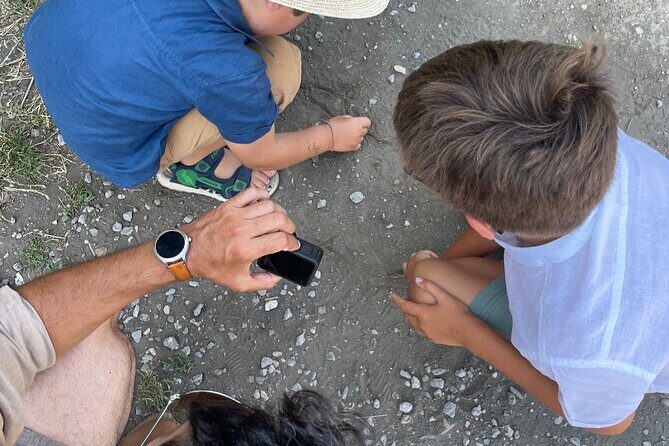 Pompei Adventure: A Tailored Tour for Families with Kids! - The Value: Is It Worth It?