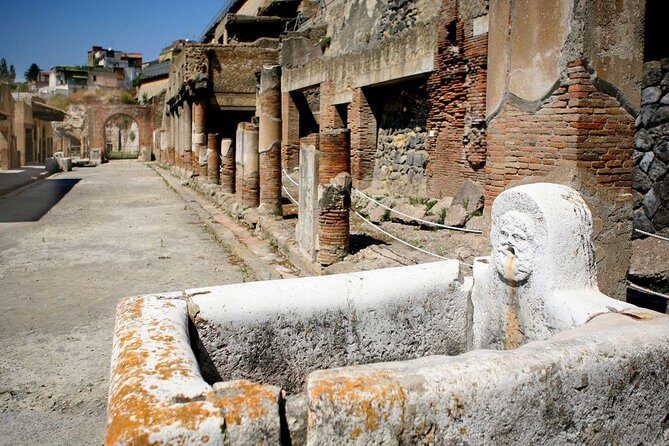 Pompeii: 2-Hour Walking Tour with professional guide - Authentic Experiences and Reviewer Insights