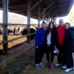 Pompeii and Herculaneum Skip-The-Line with Lunch and Wine Tasting from Rome - Key Points