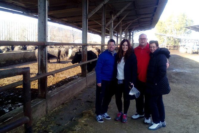 Pompeii and Herculaneum Skip-The-Line with Lunch and Wine Tasting from Rome - Key Points