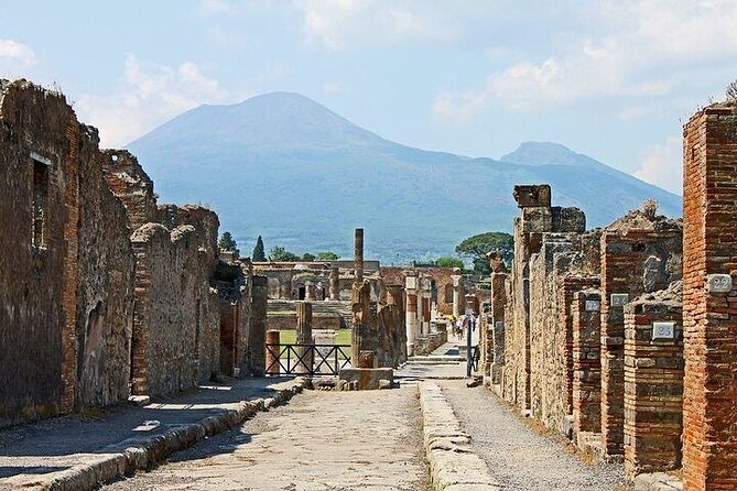 Pompeii and Vesuvius Tour with Lunch - Who Is This Tour Best Suited For?