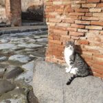 Pompeii and Vesuvius Tour with Pickup - Who Is This Tour Best For?