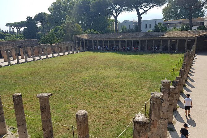 Pompeii excavation tour visiting Naples, full day from Rome - Transportation & Logistics