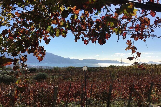 Pompeii, food and Wine - Is This Tour Worth the Price?