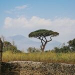 Pompeii guided group tour from Rome - Real Travelers’ Insights