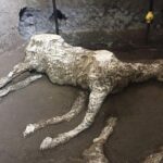 Pompeii Half-Day With Guide from Naples - The Cost and Value