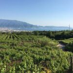 Pompeii & Herculaneum in Private Formula - Things to Keep in Mind