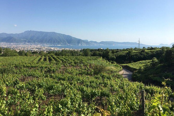 Pompeii & Herculaneum in Private Formula - Things to Keep in Mind