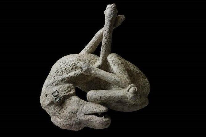 Pompeii: living with the volcano - Practical Details: What You Need to Know