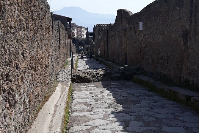 Pompeii: Private Day Tour from Naples - Who This Tour Is Best For
