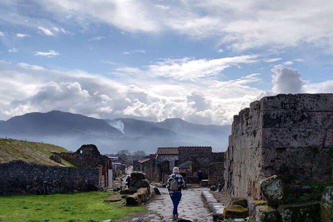 Pompeii to Vesuvius Tour with Skip-the-Line Tickets to Ruins & Volcanic Crater - What Travelers Loved and What They Didn’t