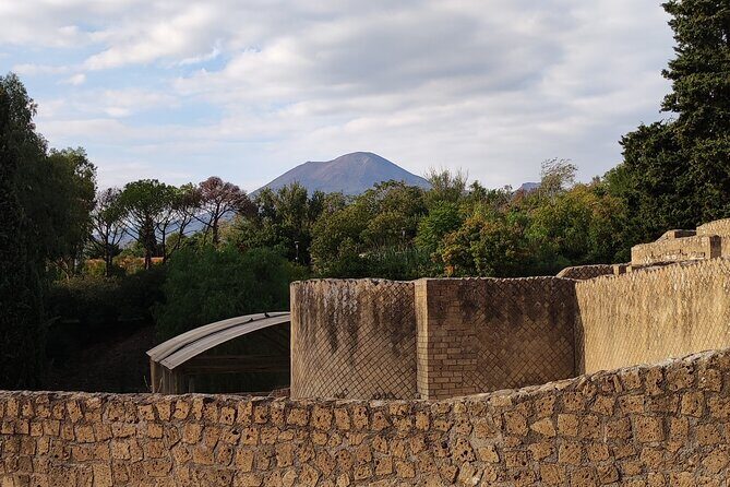 Pompeii: Tour with Archaeologist Guide & Skip-the-Line Entry - The Sum Up