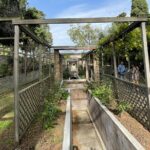 Pompeii Unveiled: 3-Hour Private Tour In-Depth Discovery - The Experience: How It Comes Together