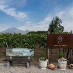 Pompeii Vineyard Escape: Private Wine Tasting & Lunch - Why This Tour is a Must for Certain Travelers