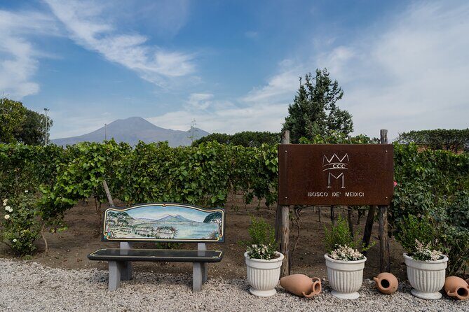 Pompeii Vineyard Escape: Private Wine Tasting & Lunch - Why This Tour is a Must for Certain Travelers