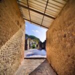 Pompeii Visit with Food and Wine tasting near Mt. Vesuvius - Vineyard and Lunch: A Slice of Vesuvius’s Land