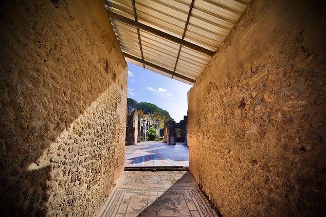 Pompeii Visit with Food and Wine tasting near Mt. Vesuvius - Vineyard and Lunch: A Slice of Vesuvius’s Land