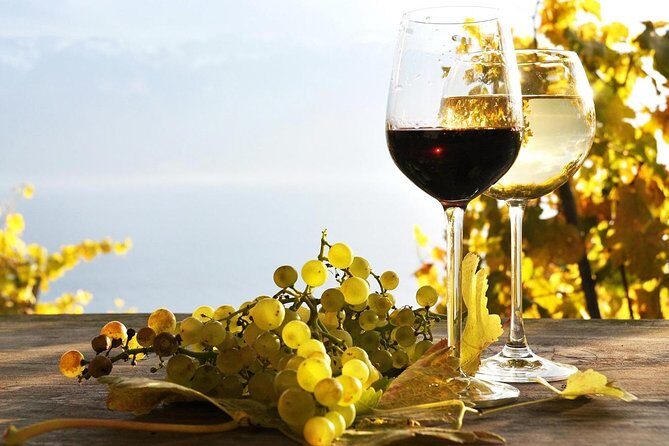 Pompeii & Wine Tour from Sorrento (tickets & lunch not included) - The Practicalities: What to Expect