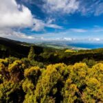 Ponta Delgada: Hidden Gems of São Miguel Full-Day Van Tour - What We Think: The Value of This Tour