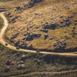 Ponte de Lima Guided Buggy Tour - Who Should Consider This Tour?