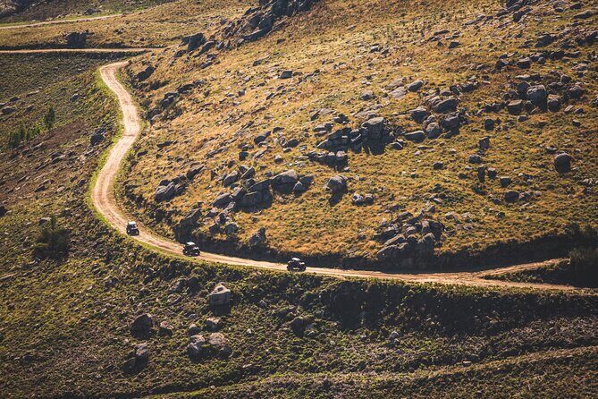 Ponte de Lima Guided Buggy Tour - Who Should Consider This Tour?