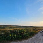 Poole: Ebike excursion to Old Harry with Ebike4you - The Experience: What Sets It Apart