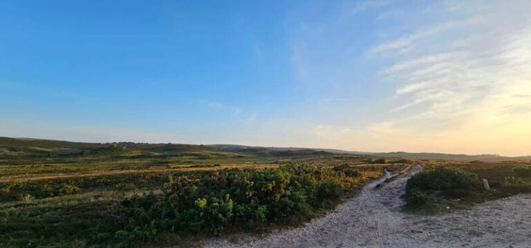 Poole: Ebike excursion to Old Harry with Ebike4you - The Experience: What Sets It Apart
