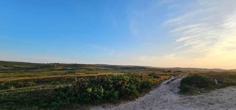 Poole: Ebike excursion to Old Harry with Ebike4you - The Experience: What Sets It Apart