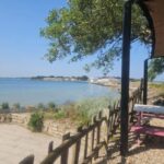 Poole Harbor: 2, 3, 4, 6, or 8-Hour Boat Rental Service - Authentic Experiences and Real Feedback